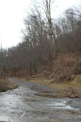1155 Price Run Road Webster Springs WV 26288