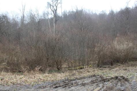 1155 Price Run Road Webster Springs WV 26288