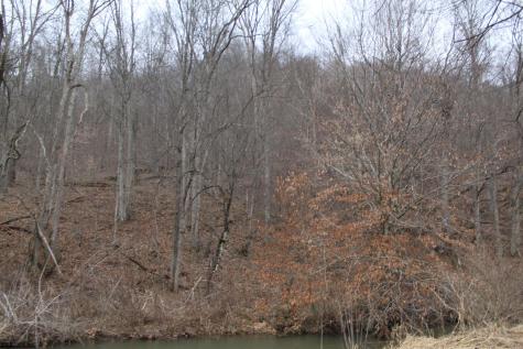 1155 Price Run Road Webster Springs WV 26288