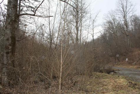 1155 Price Run Road Webster Springs WV 26288