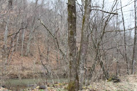 1155 Price Run Road Webster Springs WV 26288