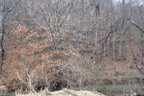 1155 Price Run Road Webster Springs WV 26288