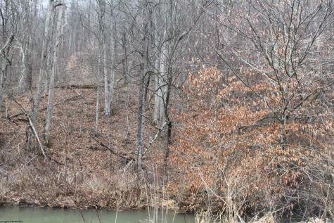 1155 Price Run Road Webster Springs WV 26288
