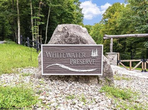 87 Whitewater Parkway Bruceton Mills WV 26525