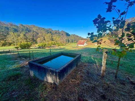 1 Hackers Creek Road Buckhannon WV 26201