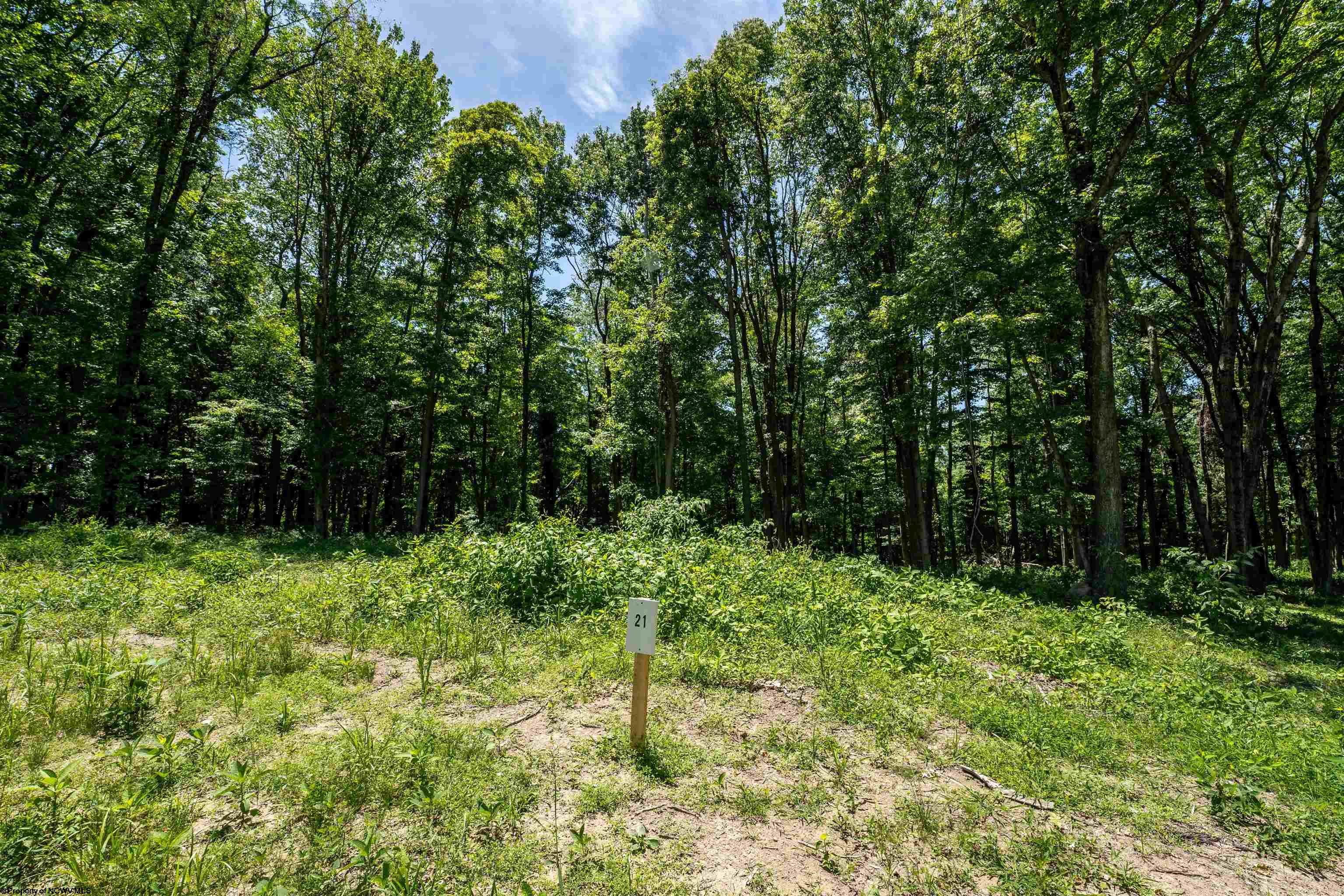 21 Bowers Lane Morgantown WV 26508