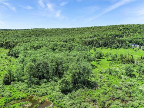0 Mountain View Circle Davis WV 26260