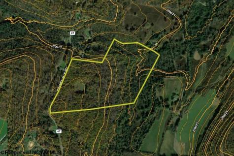 1 Cranesville Road Terra Alta WV 26764