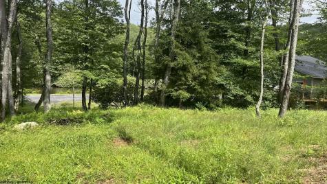 0 Blackwater Canyon Road Thomas WV 26292