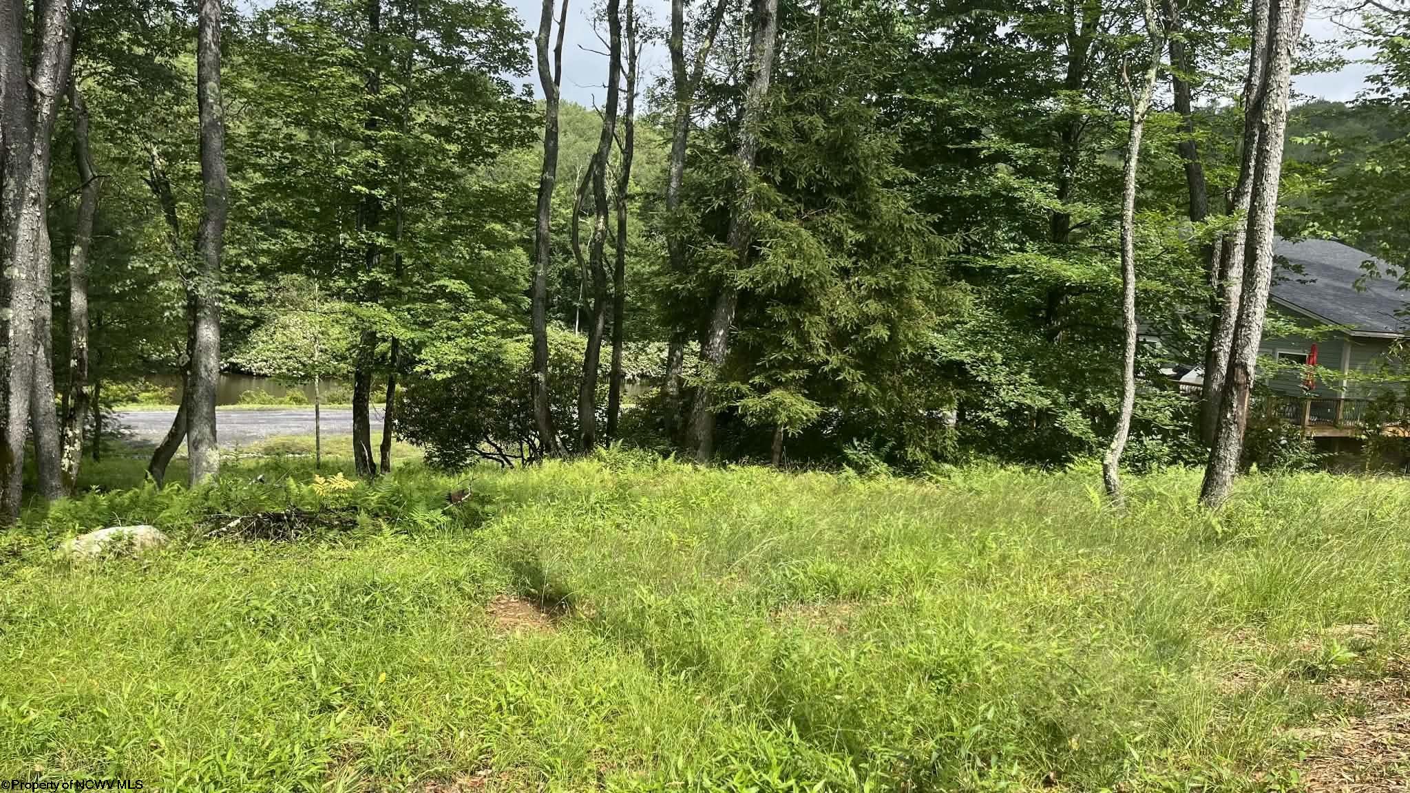 0 Blackwater Canyon Road Thomas WV 26292