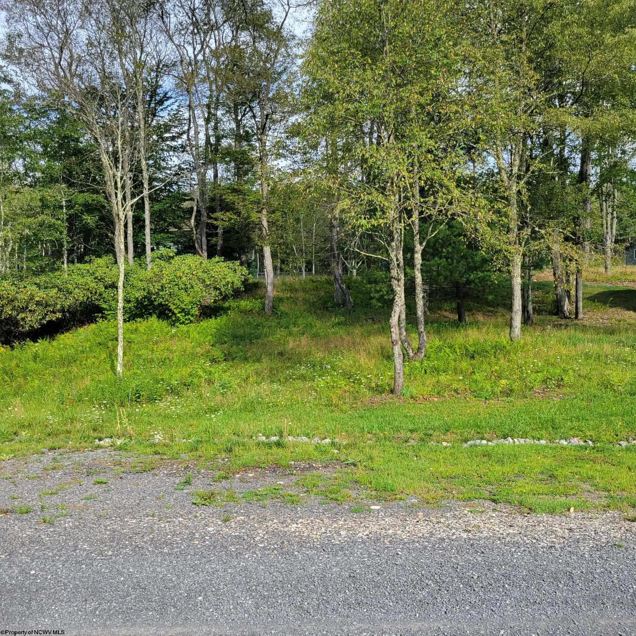 23 Blackwater Canyon Trail Road Thomas WV 26292