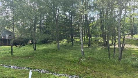 23 Blackwater Canyon Trail Road Thomas WV 26292