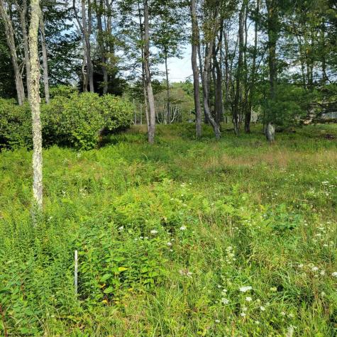23 Blackwater Canyon Trail Road Thomas WV 26292