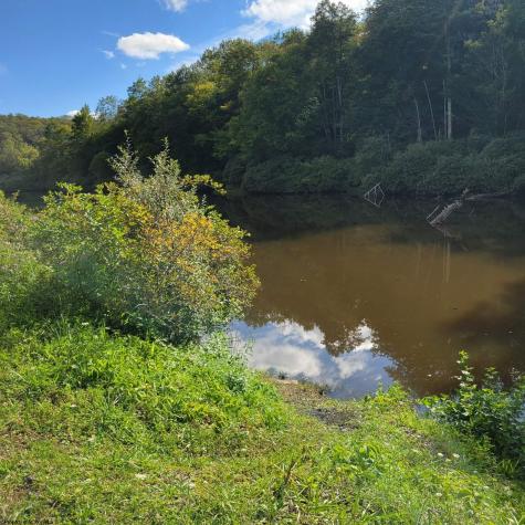 23 Blackwater Canyon Trail Road Thomas WV 26292