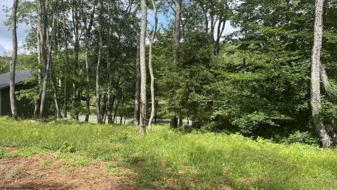 0 Blackwater Canyon Road Thomas WV 26292