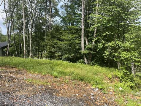 0 Blackwater Canyon Road Thomas WV 26292