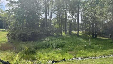 23 Blackwater Canyon Trail Road Thomas WV 26292