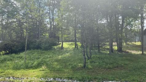 23 Blackwater Canyon Trail Road Thomas WV 26292