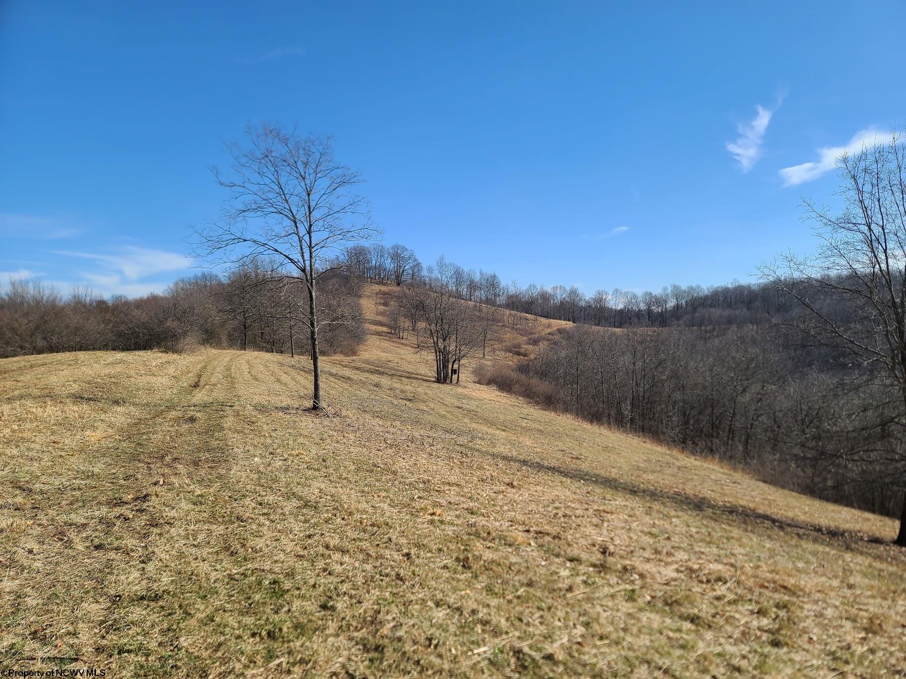1931 Saint Leo Road Wana WV 26590