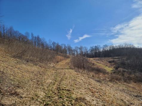 1931 Saint Leo Road Wana WV 26590