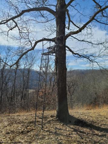 1931 Saint Leo Road Wana WV 26590