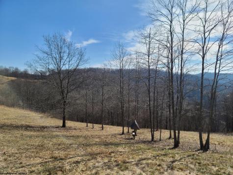 1931 Saint Leo Road Wana WV 26590