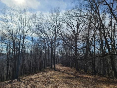 1931 Saint Leo Road Wana WV 26590