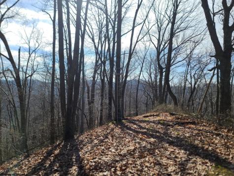 1931 Saint Leo Road Wana WV 26590