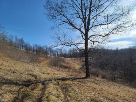 1931 Saint Leo Road Wana WV 26590