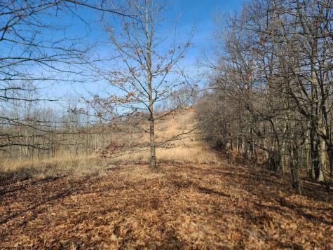 1931 Saint Leo Road Wana WV 26590
