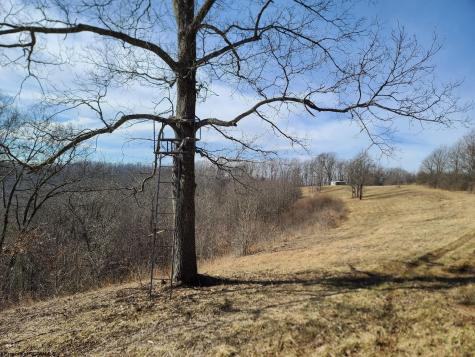 1931 Saint Leo Road Wana WV 26590