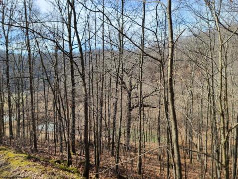 1931 Saint Leo Road Wana WV 26590