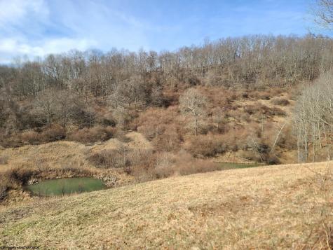 1931 Saint Leo Road Wana WV 26590