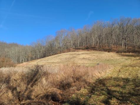 1931 Saint Leo Road Wana WV 26590