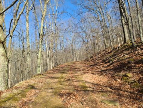 1931 Saint Leo Road Wana WV 26590
