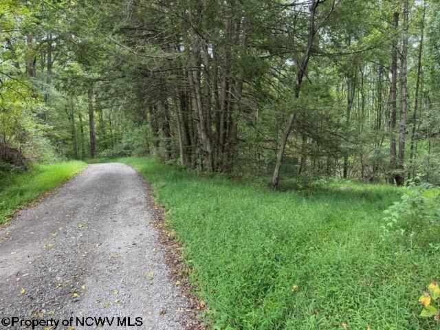 0 Massie Hollow Road Rivesville WV 26588