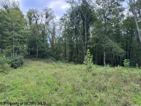 0 Massie Hollow Road Rivesville WV 26588
