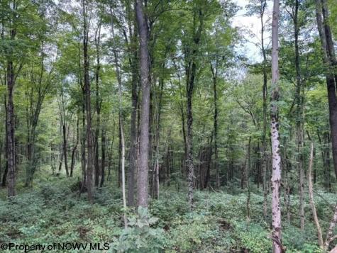 0 Massie Hollow Road Rivesville WV 26588