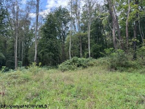 0 Massie Hollow Road Rivesville WV 26588