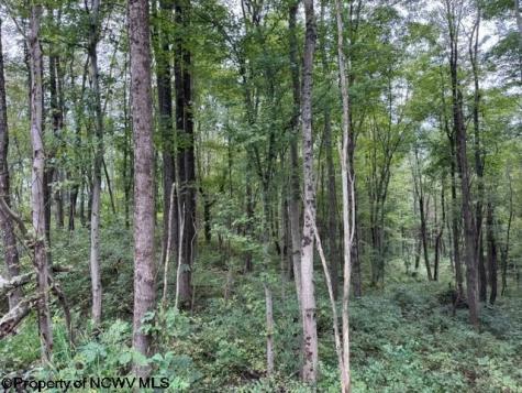 0 Massie Hollow Road Rivesville WV 26588