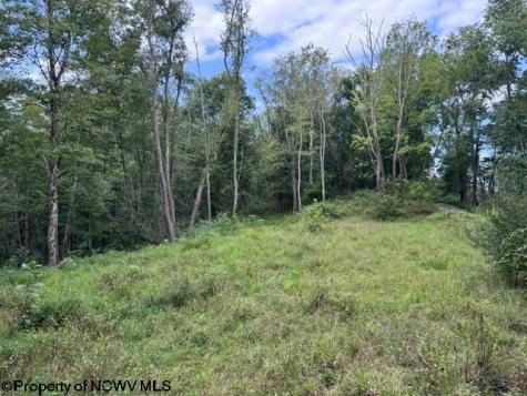 0 Massie Hollow Road Rivesville WV 26588