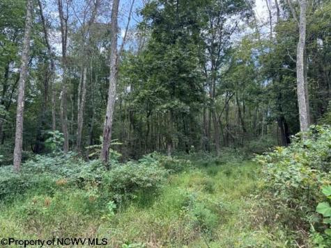 0 Massie Hollow Road Rivesville WV 26588