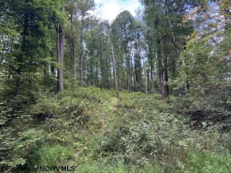 0 Massie Hollow Road Rivesville WV 26588