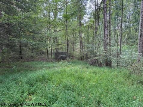 0 Massie Hollow Road Rivesville WV 26588