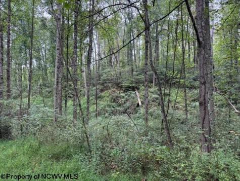 0 Massie Hollow Road Rivesville WV 26588