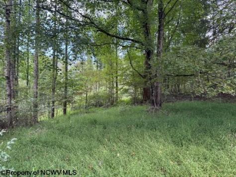 0 Massie Hollow Road Rivesville WV 26588