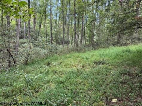 0 Massie Hollow Road Rivesville WV 26588