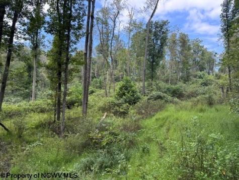0 Massie Hollow Road Rivesville WV 26588