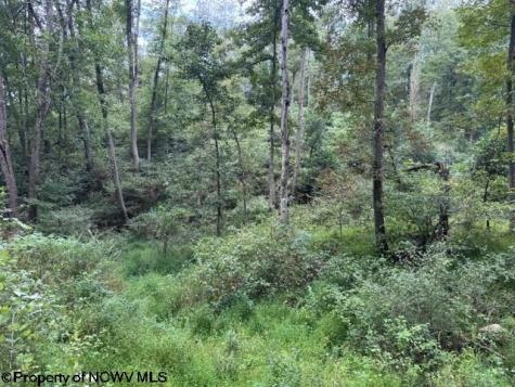 0 Massie Hollow Road Rivesville WV 26588