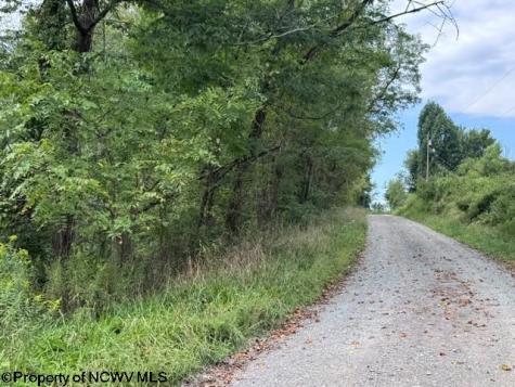 0 Massie Hollow Road Rivesville WV 26588
